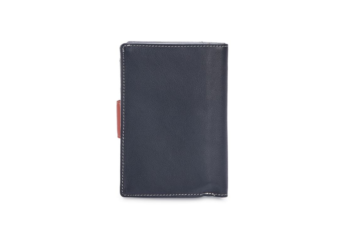Cameo Multicolor Nappa Leather Wallet