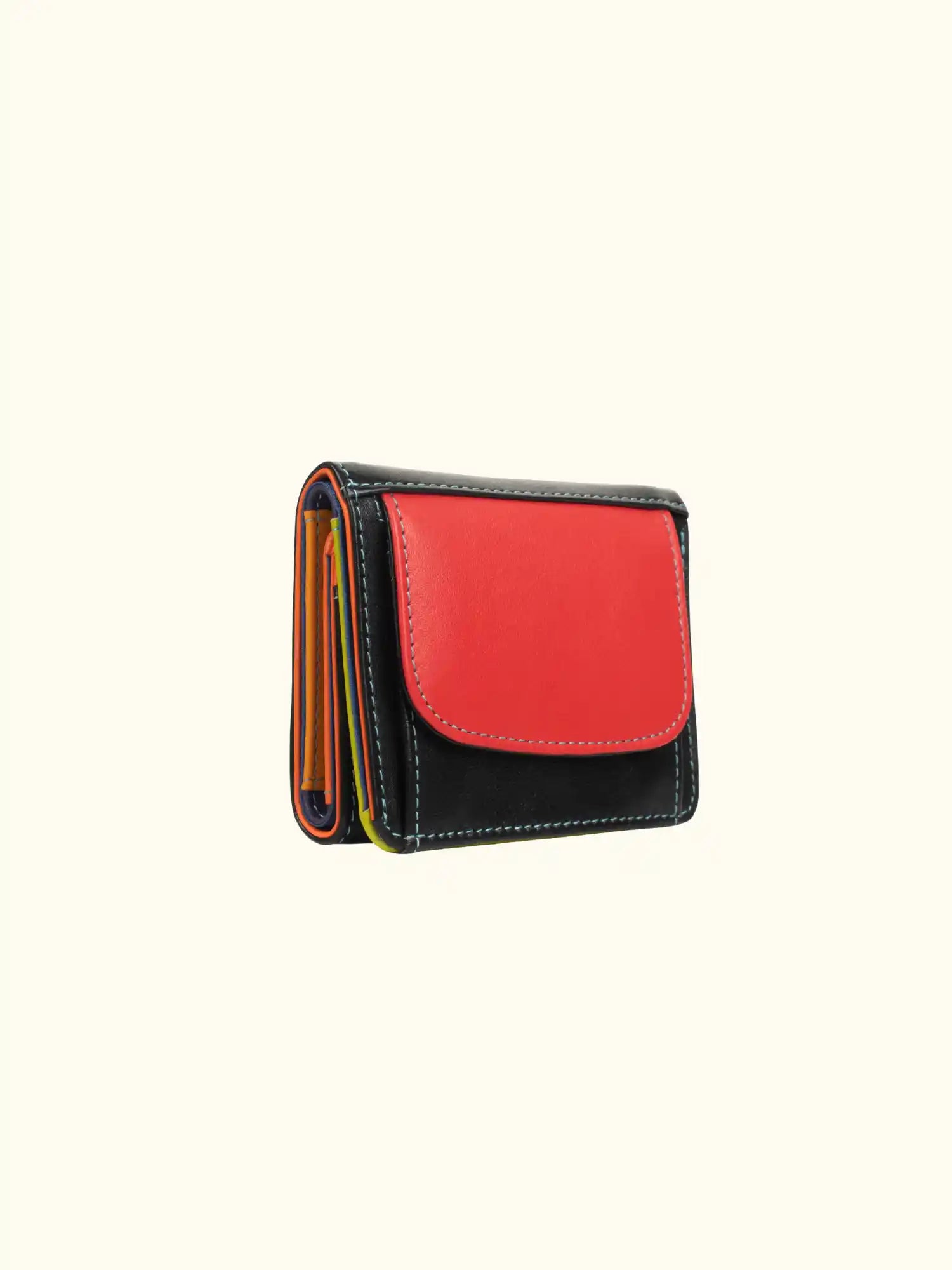 Emy Nappa Multi-Color Wallet