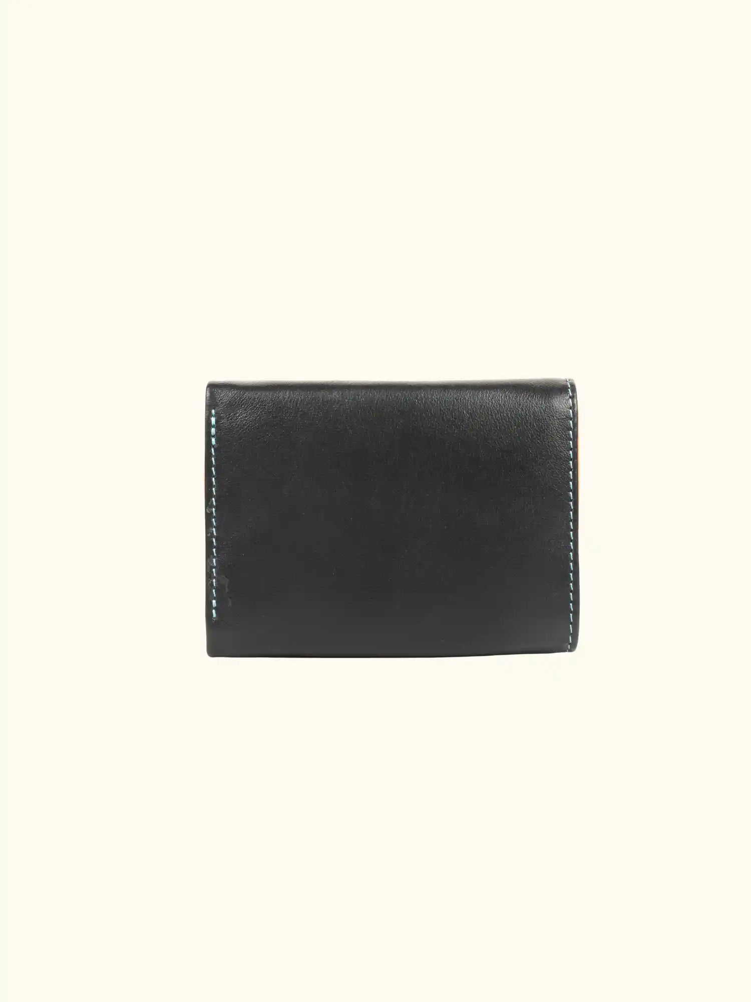 Emy Nappa Multi-Color Wallet
