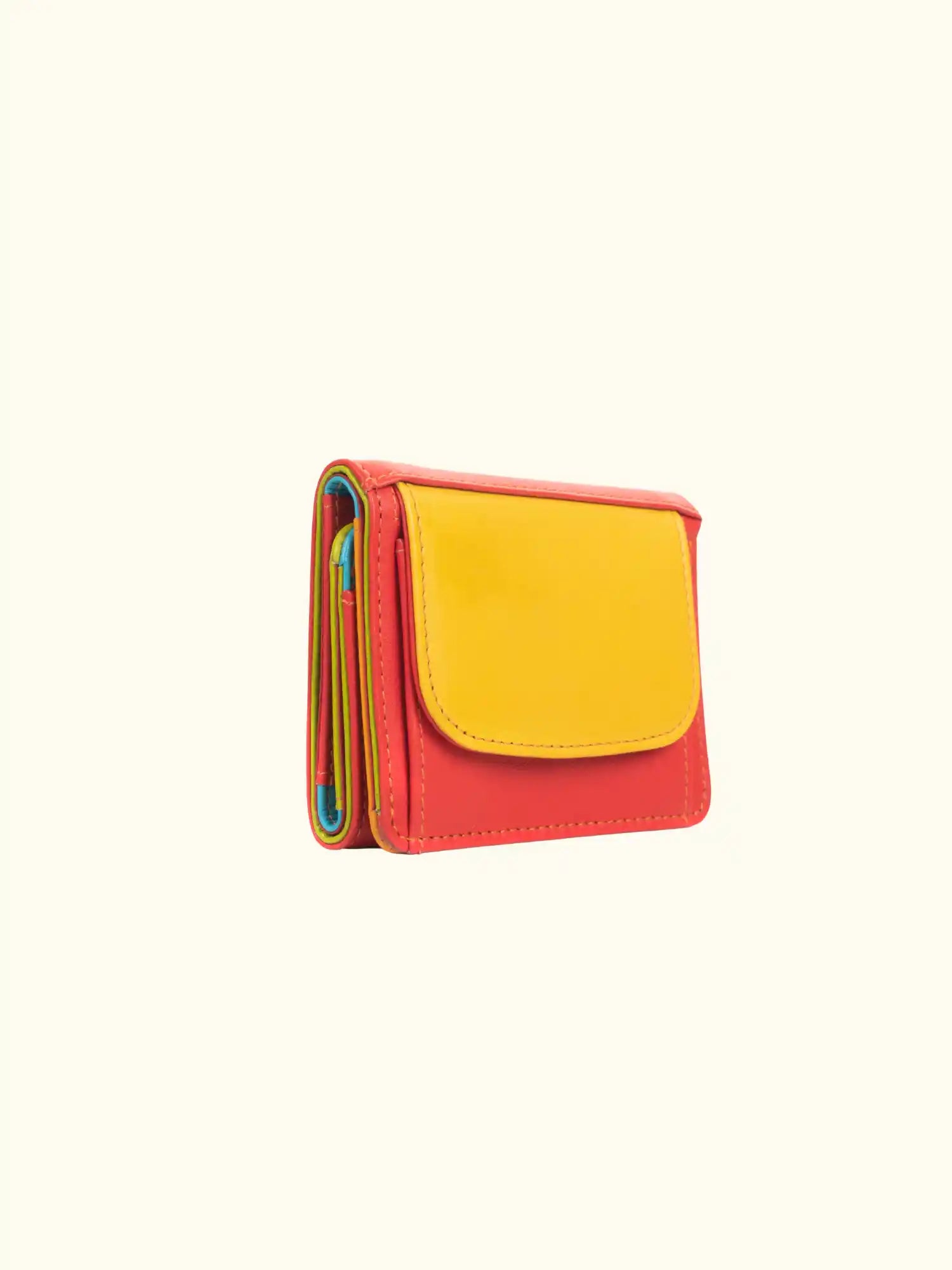 Emy Nappa Multi-Color Wallet