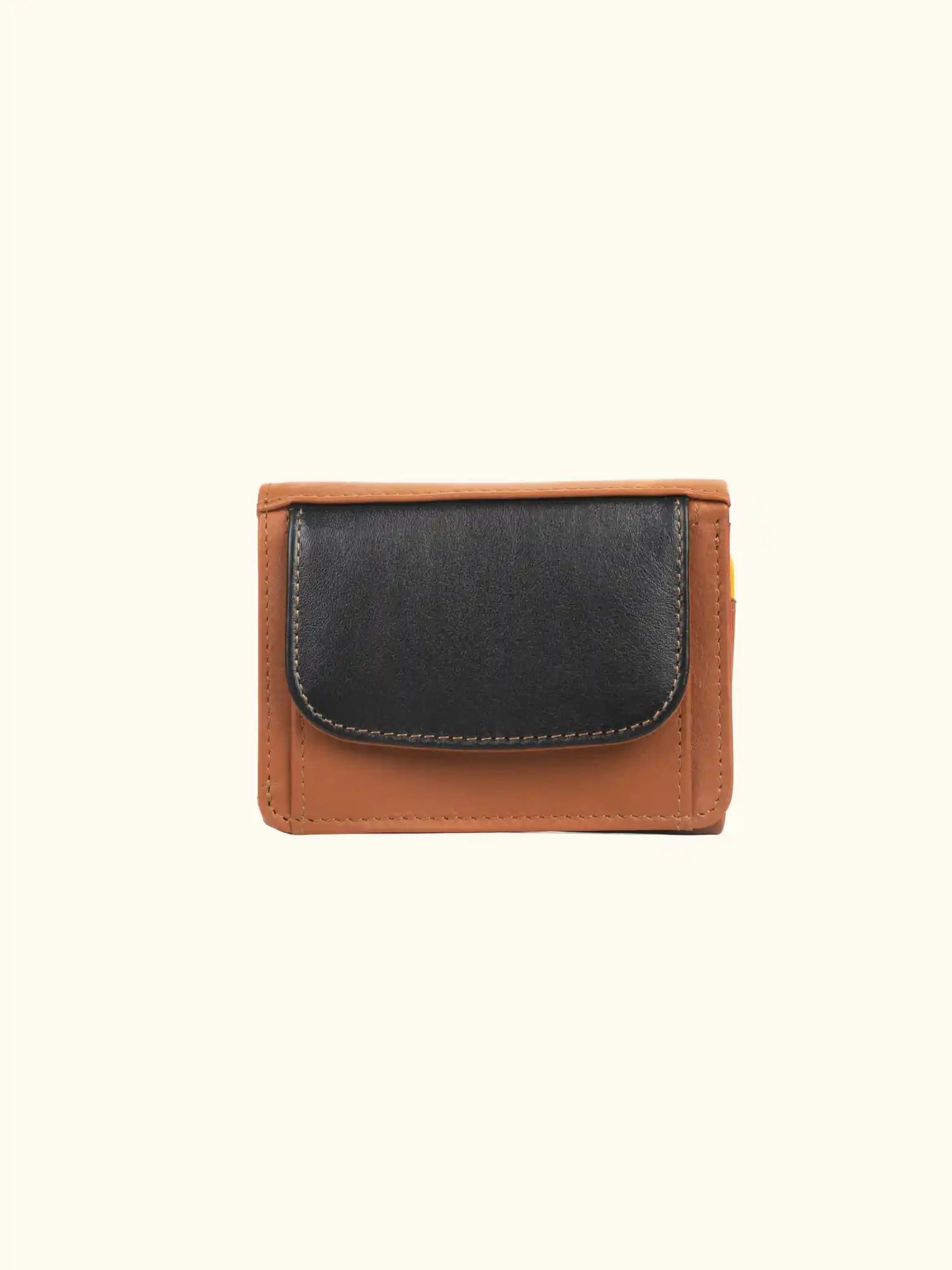 Emy Nappa Multi-Color Wallet
