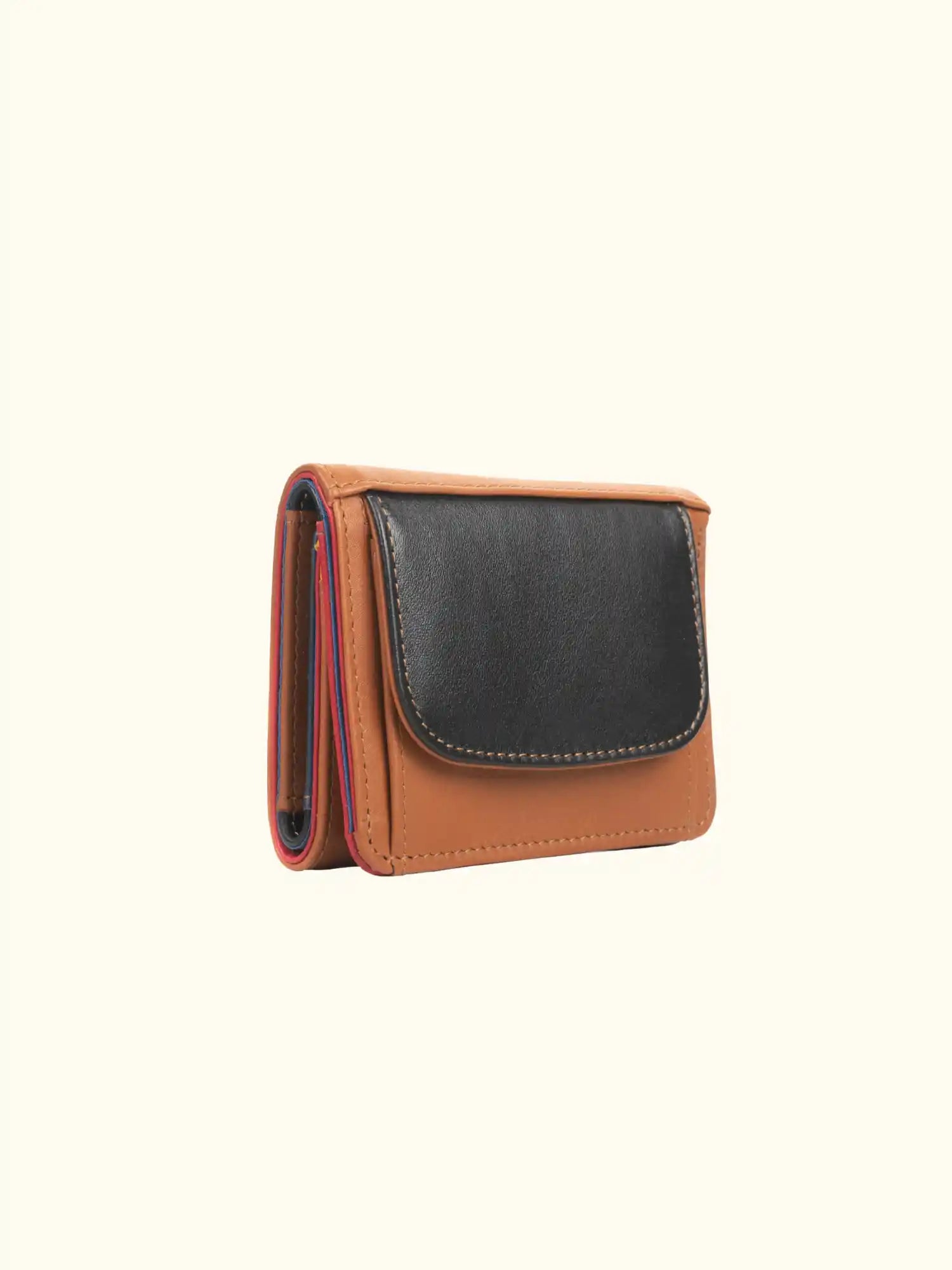 Emy Nappa Multi-Color Wallet