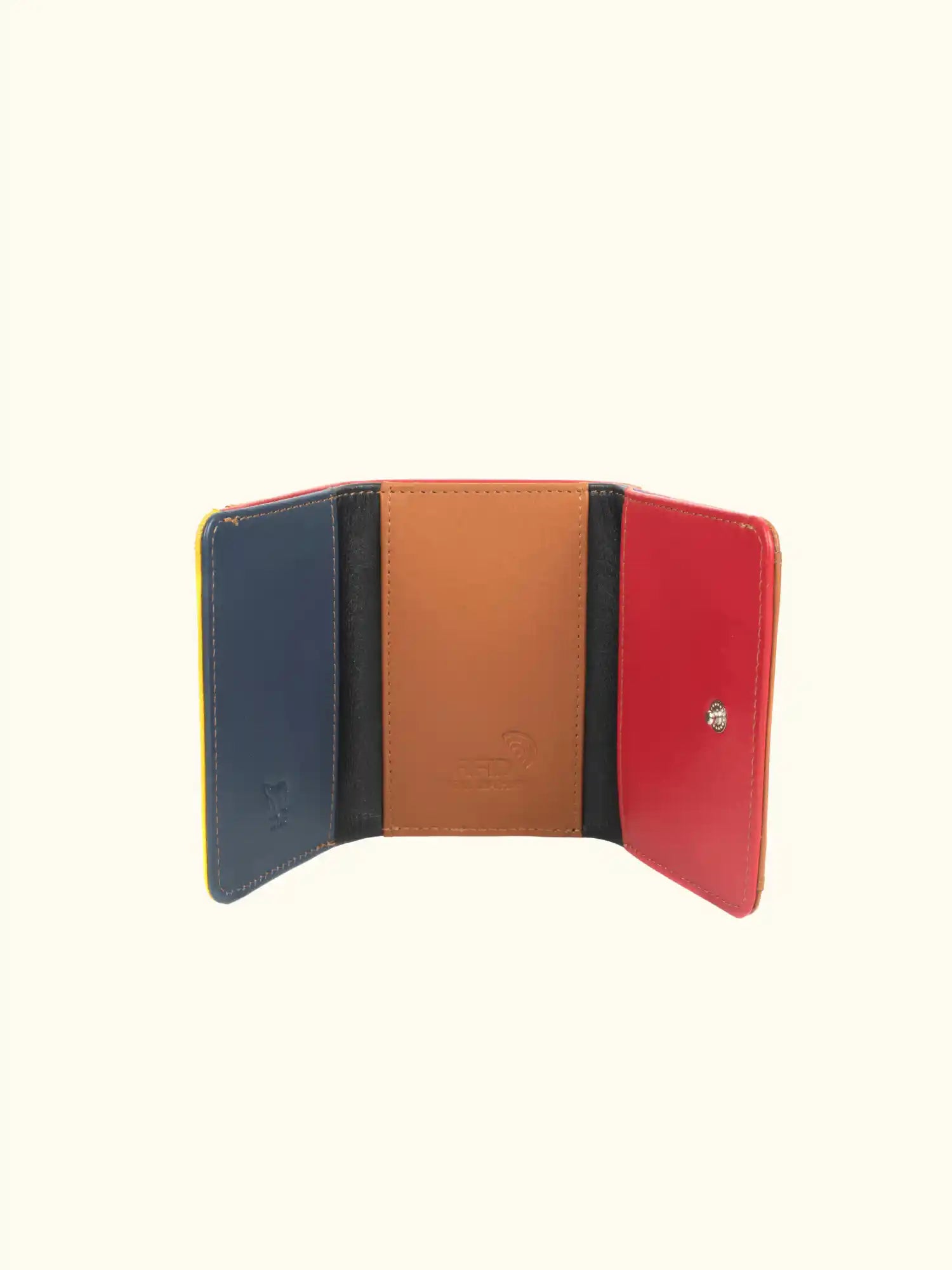 Emy Nappa Multi-Color Wallet